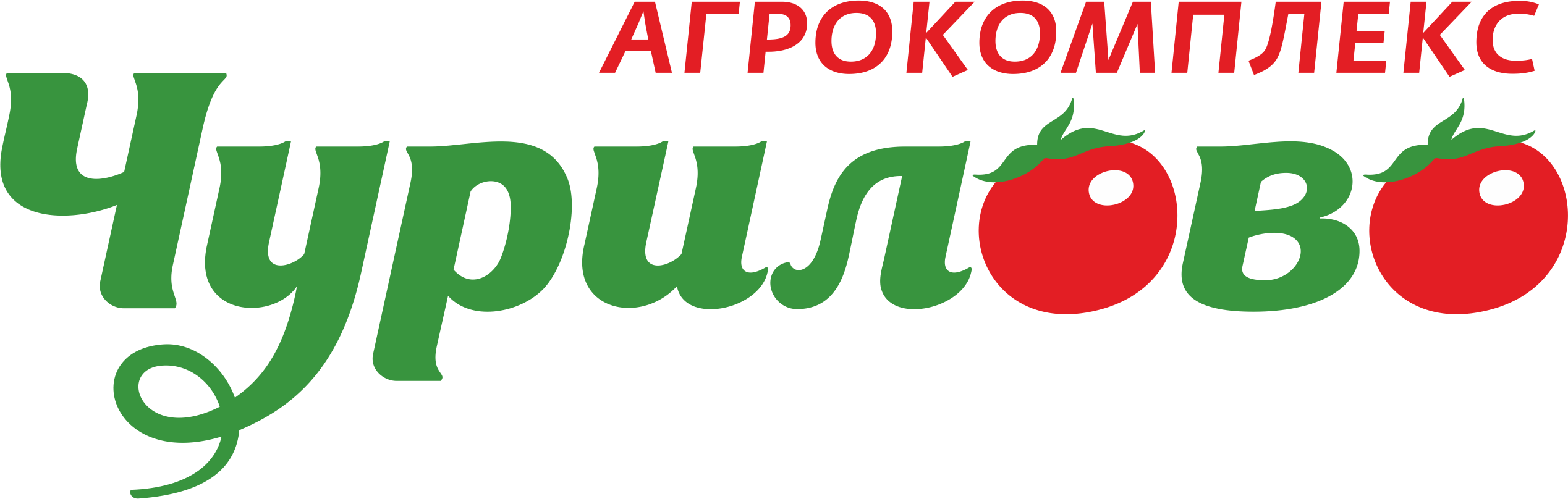 агрокомплекс чурилово официальный сайт вакансии Ренессанс кредит метро